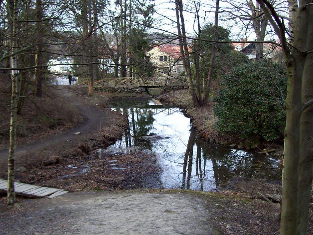 Damm vid Lilla Änggården